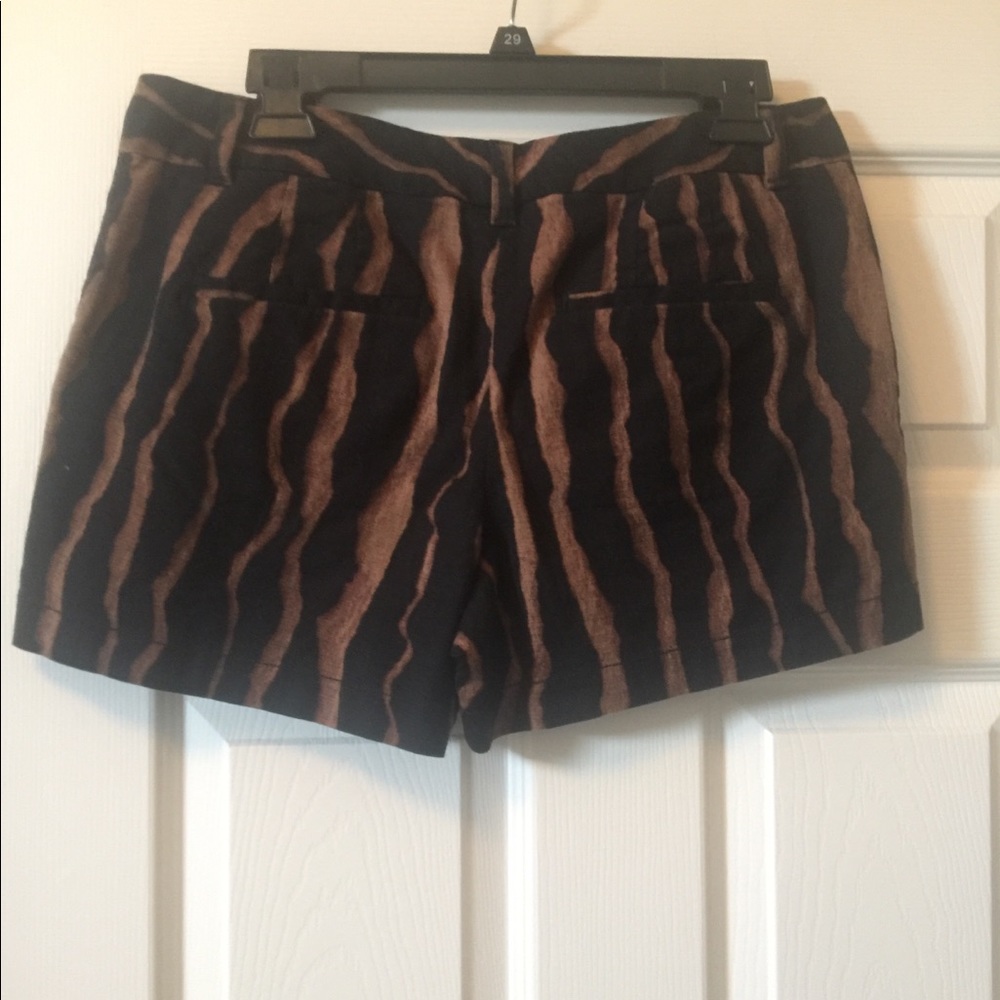 Loft Shorts